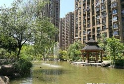 清水湾房价最新爆料,涨跌动态一览无余