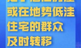 浙江最新爆料,揭秘神秘事件背后的真相