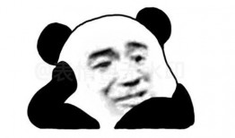 笨蛋最新爆料图片表情包