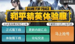 和平区体验服最新爆料,揭秘神秘游戏世界与全新玩法
