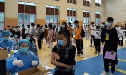 深圳小雅爆料事件最新消息,最新进展及影响揭秘