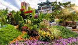 哈尔滨植物园爆料案件最新,惊现神秘命案，真相扑朔迷离！